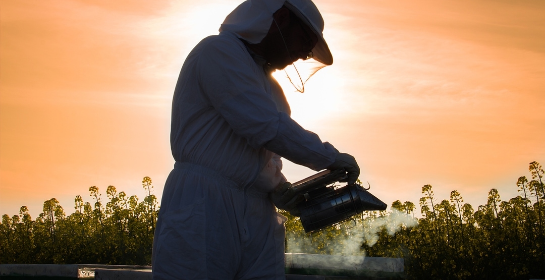 Shareholder Protection UAE